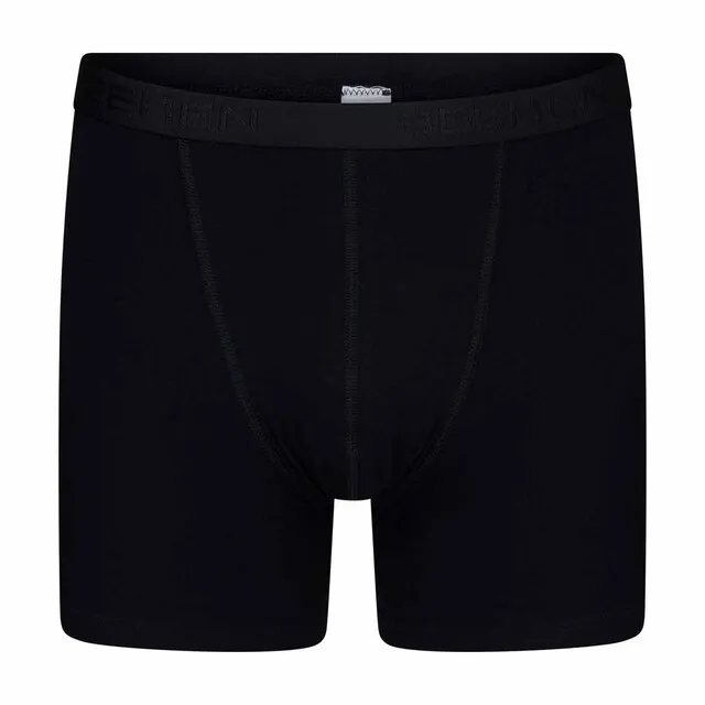 BEEREN ROGER BOXERSHORT HEREN ZWART 2PCK  MAAT L