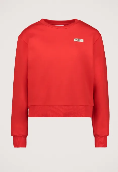 Colourful Rebel  Uni Label Sweater WS416338