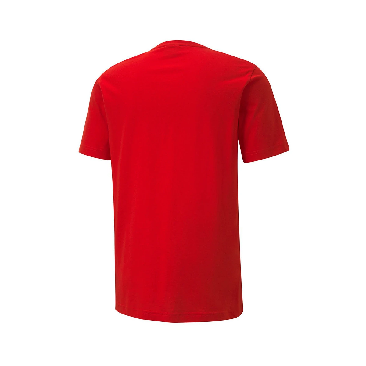 Puma teamGOAL Jersey