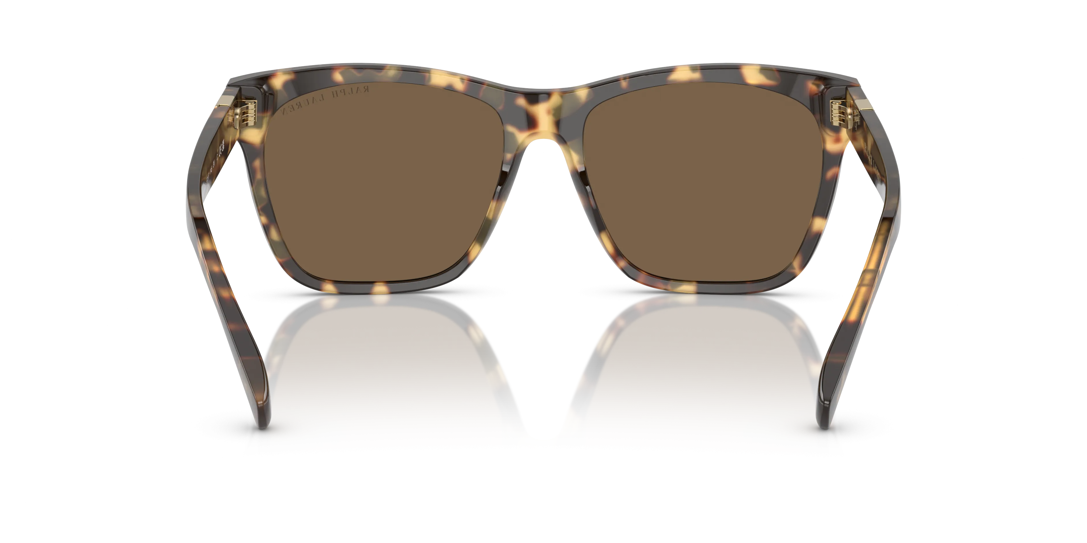 RALPH LAUREN RL8212 THE RICKY II M (57  17)  WITH BRUIN LENSES AND TORTOISE FRAME