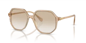 Swarovski SK6003 XL (57 - 16)  with Grijs lenses and Bruin frame